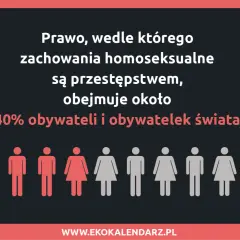 Homofobia co to? Prawo penalizujące zachowania homoseksualne dotyczy 40% ludzi na świecie. Ikony symbolizują ludzi.