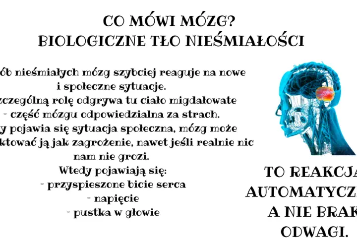 Mózg nieśmiałych reaguje szybciej na nowe sytuacje. Ciało migdałowate, odpowiedzialne za strach, może potraktować je jak zagrożenie. To reakcja automatyczna, nie brak odwagi.