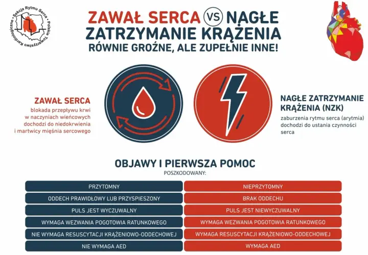 Zawał serca vs NZK: objawy i pierwsza pomoc. Porównanie symptomów, które mogą przypominać nerwicę, ale są oznaką poważnych problemów z sercem.