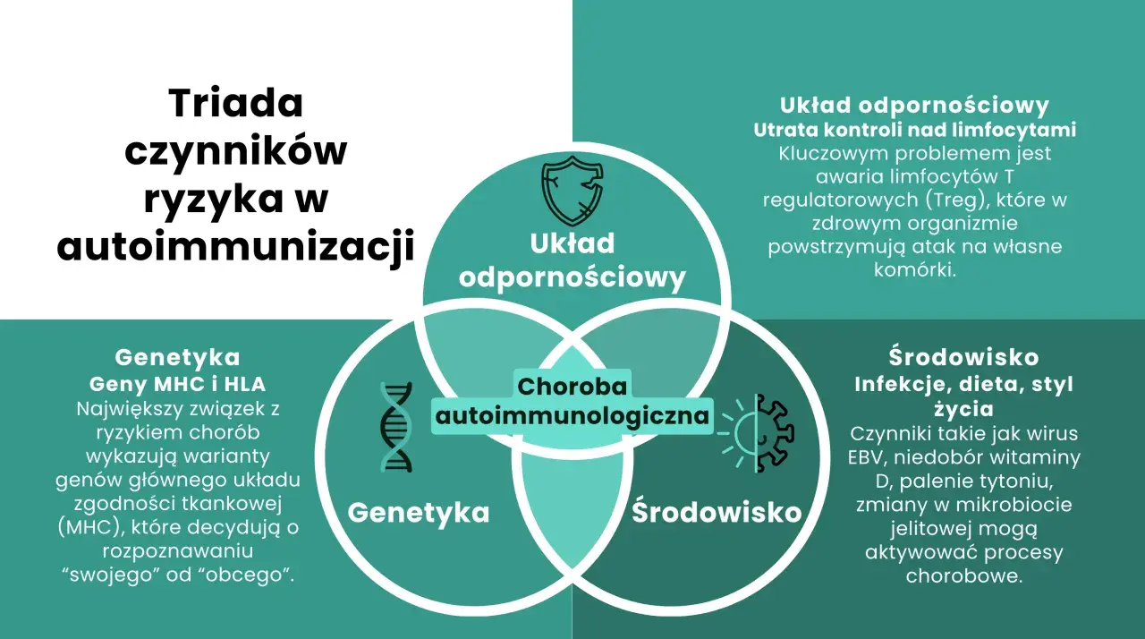 Triada czynników ryzyka w autoimmunizacji: układ odpornościowy, genetyka i środowisko. Choroba autoimmunologiczna powstaje, gdy te elementy współdziałają.