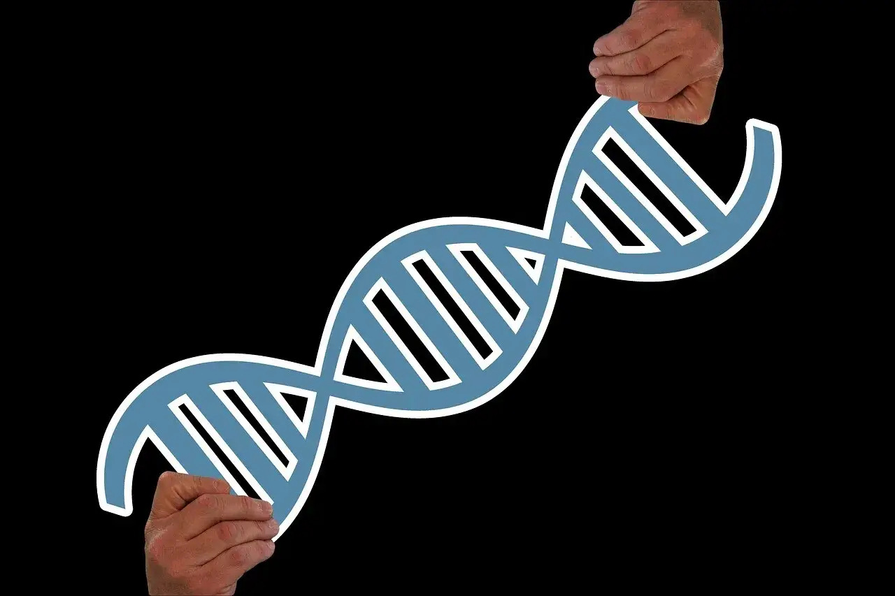 Dwie dłonie trzymające symbol DNA, sugerujące, czy choroby psychiczne są dziedziczne.