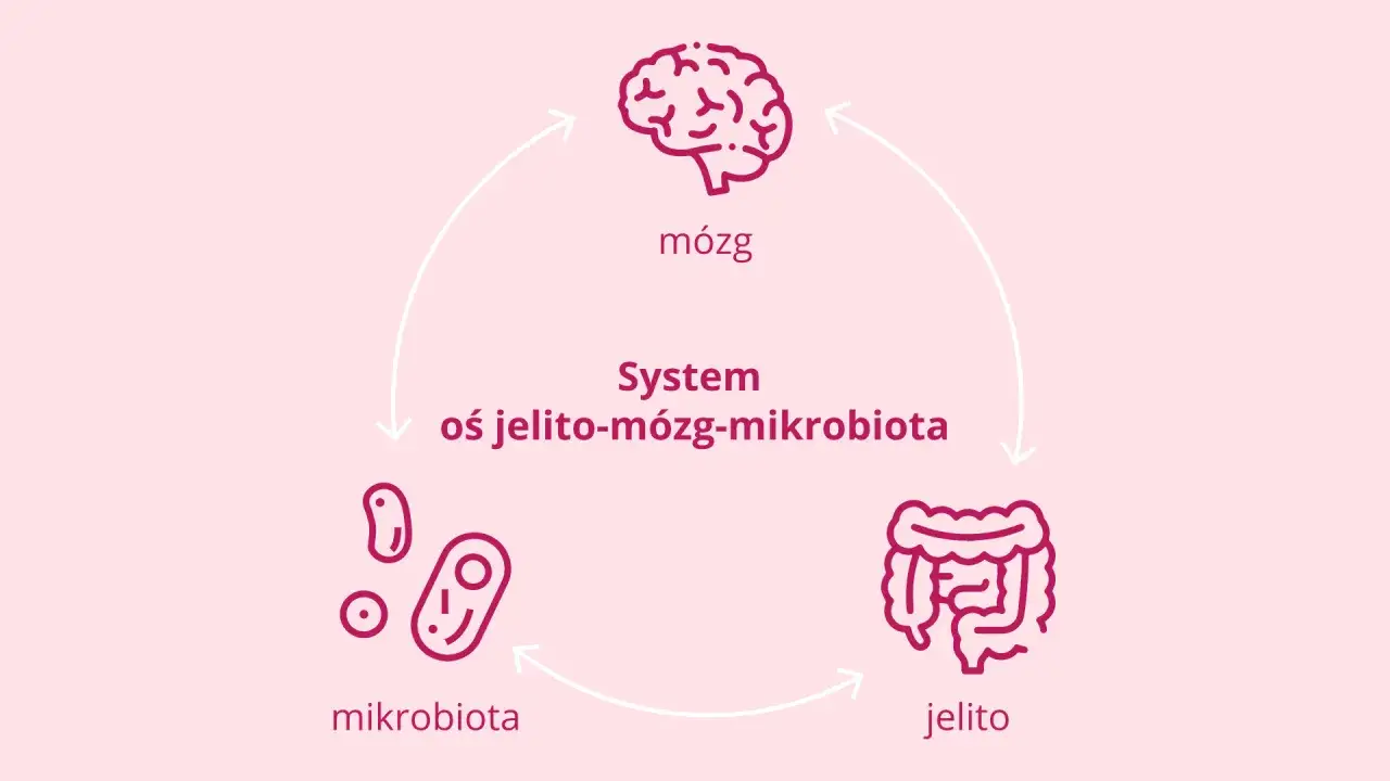 oś jelita mózg schemat